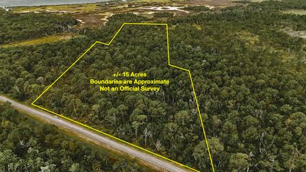 Land for sale in Taylor County, Florida