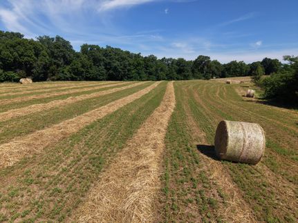 Farm and Ranch for sale in Henry County, Kentucky