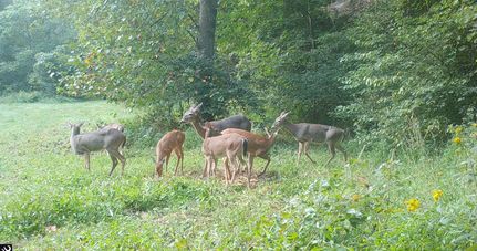 Land for sale in Breckinridge County, Kentucky