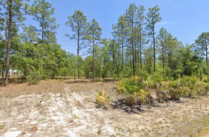 Timberland Property for sale in Marion County, Florida