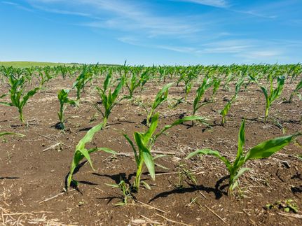 Farm and Ranch for sale in Emmons County, North Dakota