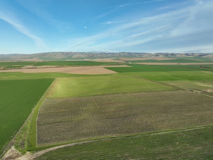 Land for sale in Umatilla County, Oregon