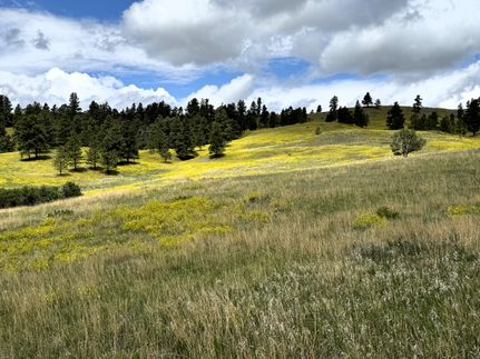Farm and Ranch for sale in Crook County, Wyoming