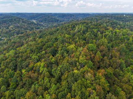 Timberland Property for sale in Lawrence County, Ohio