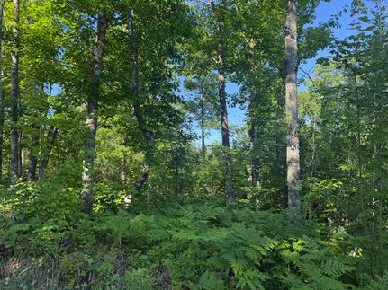Commercial Property for sale in Douglas County, Wisconsin
