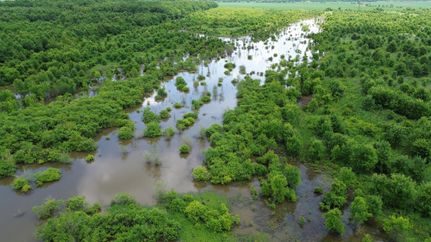 Timberland Property for sale in Sharkey County, Mississippi