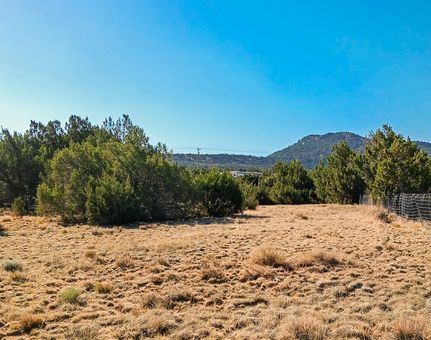 Timberland Property in Apache County, Arizona