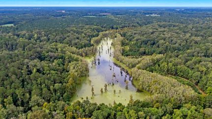 Riverfront Property for sale in Florence County, South Carolina
