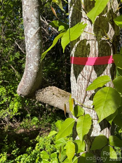 Undeveloped Land for sale in Haywood County, North Carolina