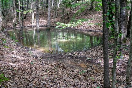 Timberland Property for sale in Poinsett County, Arkansas