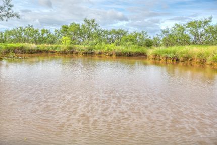 Land for sale in Coke County, Texas