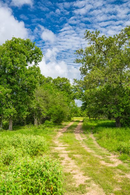 Undeveloped Land for sale in Lavaca County, Texas