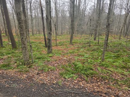 Farm and Ranch for sale in Wayne County, Pennsylvania
