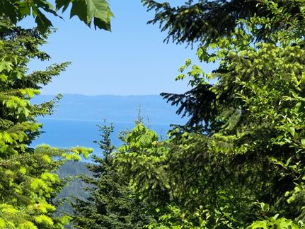 Land for sale in Clallam County, Washington
