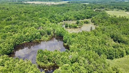 Land for sale in Clare County, Michigan