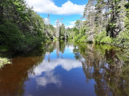 Farm and Ranch for sale in Vilas County, Wisconsin