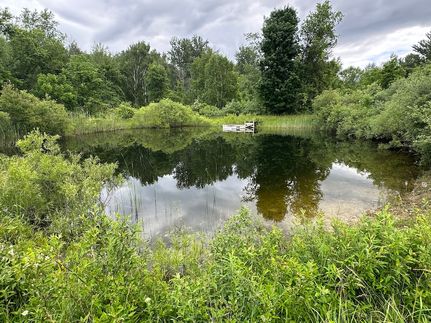 Farm and Ranch for sale in Sanilac County, Michigan
