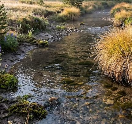 Timberland Property for sale in Madison County, Montana
