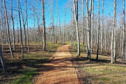Land for sale in Hickman County, Tennessee