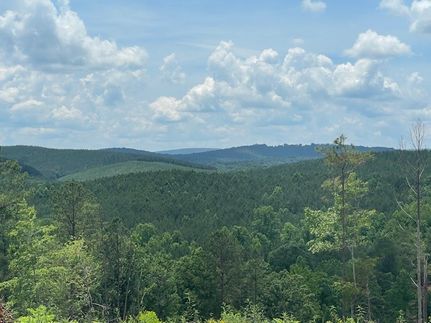 Land for sale in Clay County, Alabama