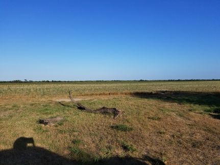 Farm and Ranch for sale in Jim Wells County, Texas