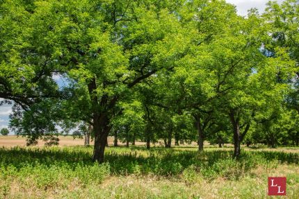 Farm and Ranch for sale in Jefferson County, Oklahoma