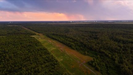 Farm and Ranch for sale in Richland Parish, Louisiana