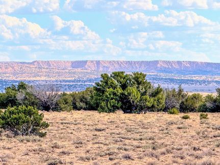 Undeveloped Land for sale in Apache County, Arizona