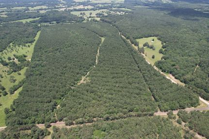 Farm and Ranch for sale in Panola County, Texas
