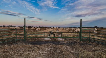 Farm and Ranch for sale in Cooke County, Texas