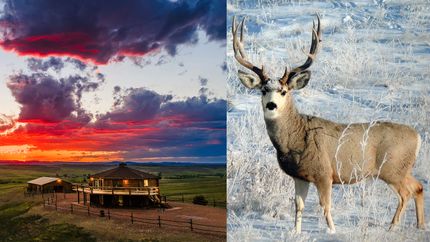 Land for sale in Sheridan County, Wyoming