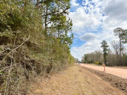 Undeveloped Land for sale in Tyler County, Texas
