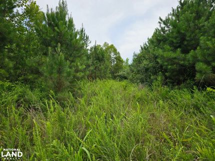 Recreational Property for sale in Marion County, Alabama