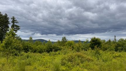 Land for sale in Oxford County, Maine