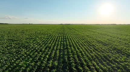 Farm and Ranch for sale in McCook County, South Dakota