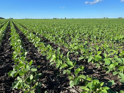 Farm and Ranch for sale in Henry County, Iowa