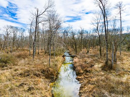Farm and Ranch for sale in Henry County, Tennessee