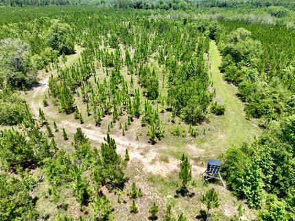 Timberland Property for sale in Telfair County, Georgia