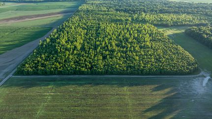 Land for sale in Wayne County, Illinois