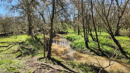 Timberland Property for sale in Waller County, Texas