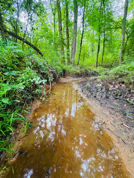 Farm and Ranch for sale in Shelby County, Texas