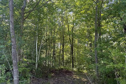 Farm and Ranch for sale in Douglas County, Wisconsin