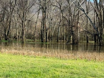 Land for sale in Jackson County, Alabama