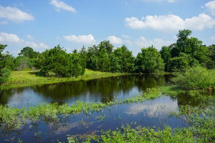 Land for sale in Bastrop County, Texas
