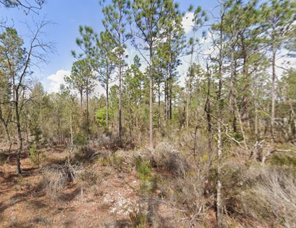 Farm and Ranch for sale in Putnam County, Florida