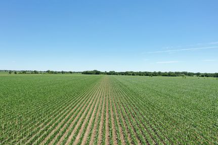 Land for sale in Buffalo County, Nebraska