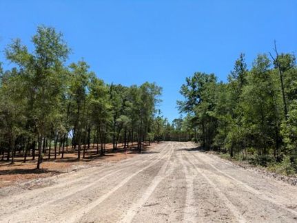 Farm and Ranch for sale in Suwannee County, Florida