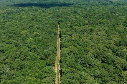 Timberland Property for sale in Red River County, Texas
