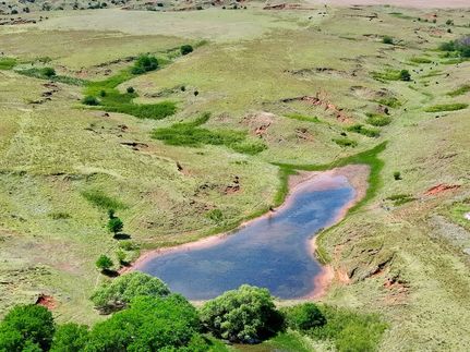 Timberland Property for sale in Harper County, Oklahoma