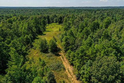 Recreational Property for sale in Benton County, Mississippi